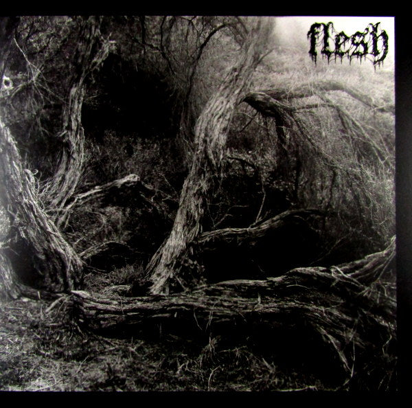 flesh - Col Vinyl 12"